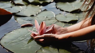Sessizlik ile zihni güçlendirin