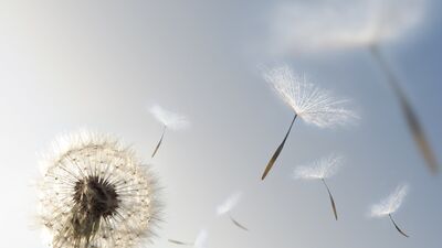 Kurtulmanız gereken 5 toksik alışkanlık