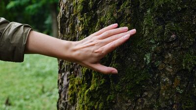 Doğa bize ne öğretir?