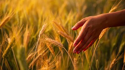 Hayat sizin kontrolünüzde mi?