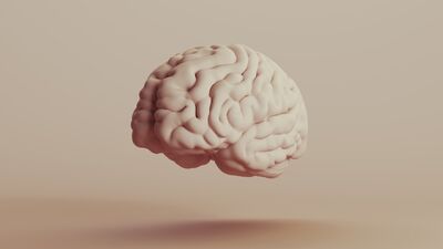 'Beyin kararması' gerçek!