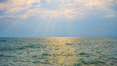 Üçüncü bölüm: Kısır döngüden çıkmak için...