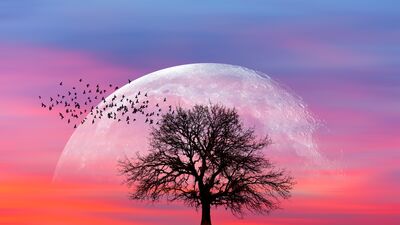 Günlük burç yorumları: 17 Temmuz Çarşamba