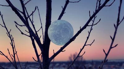 21 Temmuz Oğlak burcunda Dolunay