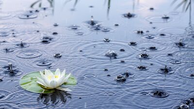 Yaz yağmurunun faydaları