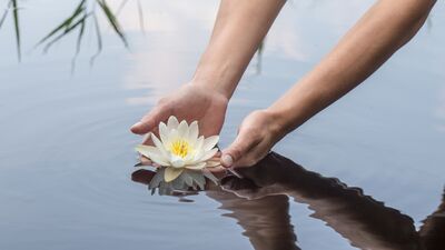 Dördüncü bölüm: Kısır döngüden çıkmak için