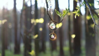 Aylık burç yorumları: Ağustos 2024