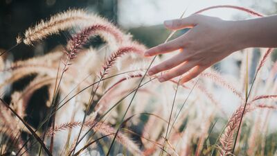 &quot;Kendine dost olan bilin ki herkese de dosttur&quot;