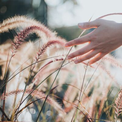 "Kendine dost olan bilin ki herkese de dosttur"
