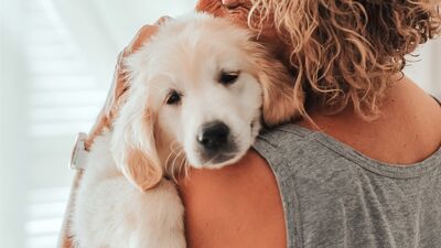 Rehber: Hayvanlarda kanser