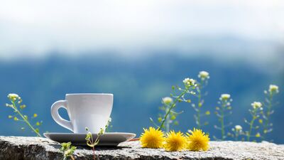 Sakin kalabilen insanların 7 alışkanlığı