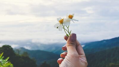 Farkındalık: Yaşamı dönüştüren güç