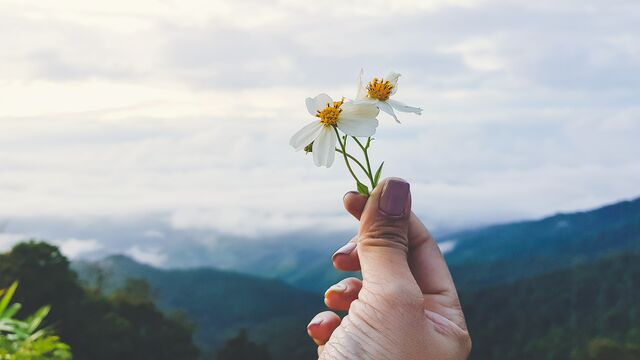 Farkındalık: Yaşamı dönüştüren güç