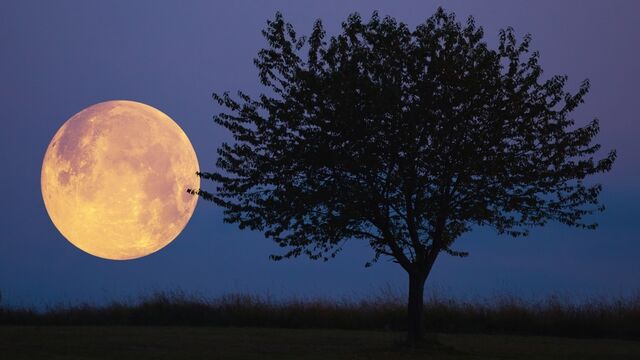19 Ağustos Kova burcunda Dolunay