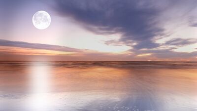 19 Ağustos Kova Dolunayı: "Etki gücünü kullan"