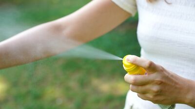 Doğu At Ensefaliti Virüsü tehlikeli mi?