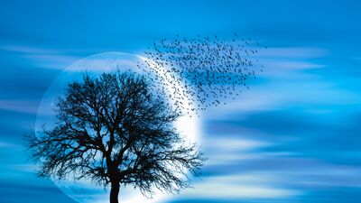 3 Eylül Başak burcunda Yeniay ve etkileri