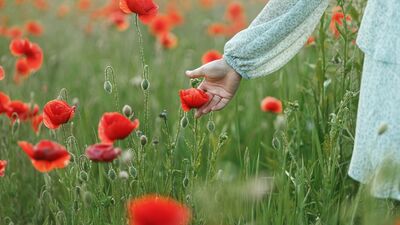 Hayat anlamsız geliyorsa bu 5 yolu deneyin