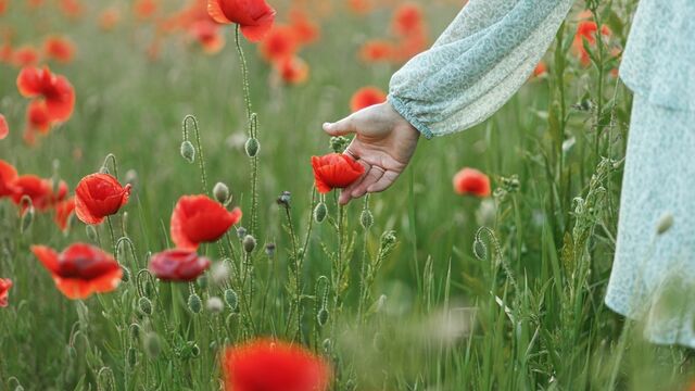 Hayat anlamsız geliyorsa bu 5 yolu deneyin