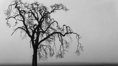 Korkularla yüzleşmek: İçsel gücünüzü keşfedin
