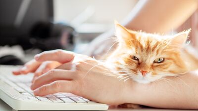 Evden çalışırken motive olamıyorsanız...