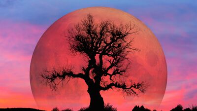 18 Eylül Ay Tutulması'ndan size güçlü bir mesaj var!