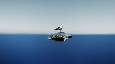 2024'ün en iyi okyanus fotoğrafları