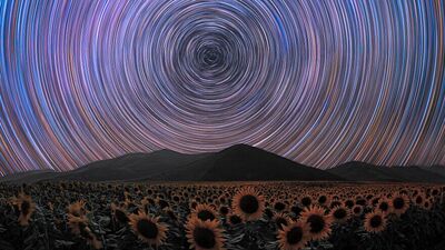 2024 Uluslararası Fotoğrafçılık Ödülleri kazananları