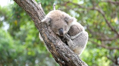 "Uyudum ama dinlenemedim" diyorsanız...