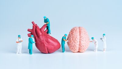 Sağlıklı bir kalp, sağlıklı bir beyin demektir