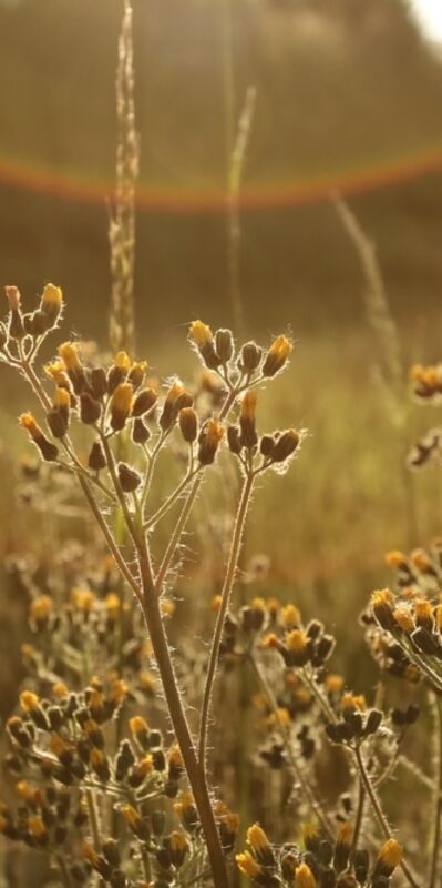 Zihninizi açacak sabah alışkanlıkları
