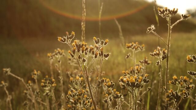Zihninizi açacak sabah alışkanlıkları