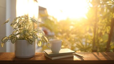 10 dakikada kendinize yapabileceğiniz 5 iyilik