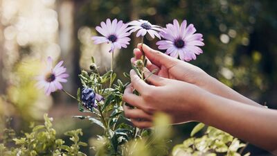 Kendinizle yapabileceğiniz küçük anlaşmalar