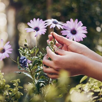 Kendinizle yapabileceğiniz küçük anlaşmalar