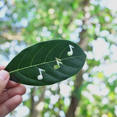 Dünyanın en rahatlatıcı sesleri...