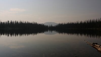 Zihne şifa: Gürültü