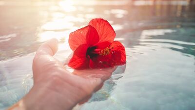 Aylin: Bir kıvılcım