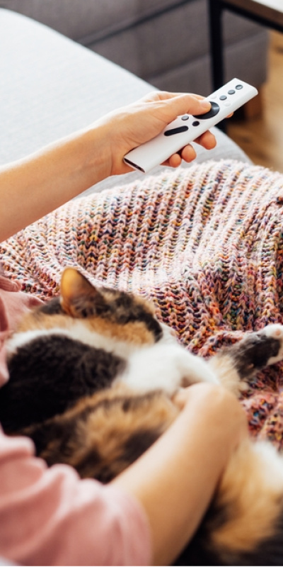 Ruh halinize göre size iyi gelecek filmler