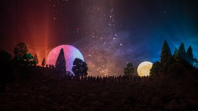 Aylık burç yorumları: Kasım 2024