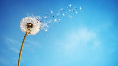 Umudu yeşertmenin 7 yolu