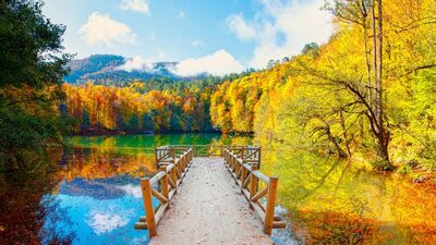 Büyüleyici manzara: Yedigöller'de sonbahar