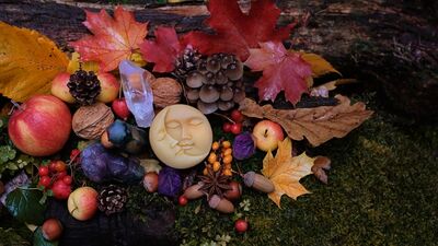 Günlük burç yorumları: 12 Kasım Salı