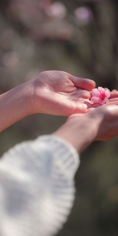 Zamanı yavaşlatmak için ‘yenilik etkisi'