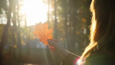 Şimdi ve burada olmanın gücü