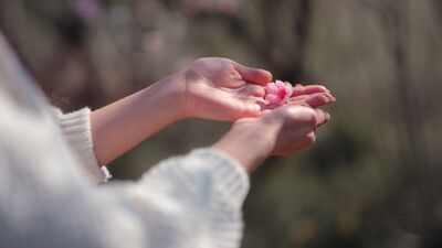 Zamanı yavaşlatmak için 'yenilik etkisi'