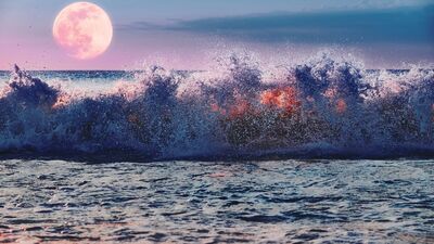 16 Kasım Boğa burcunda Dolunay