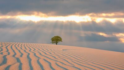 Yalnız kalabilmeyi öğrenmek