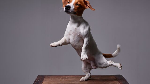 Yaşlanma testi: Tek bacak üzerinde durun