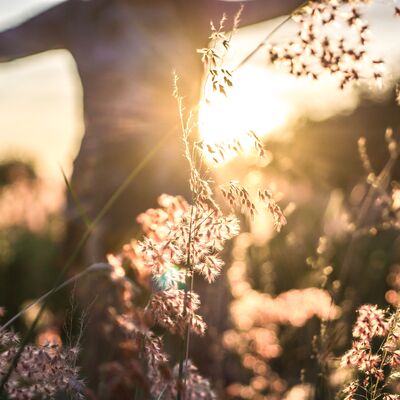 Anlamlı yaşam için: Kendini gerçekleştirme